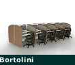 Bortolini